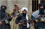 شاخ شدن طالبان برای ایران