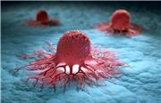ابداع روش جدید شناسایی و درمان سلول‌های سرطانی
