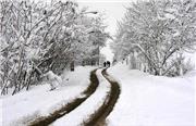 هشدار سازمان هواشناسی در خصوص بارش سنگین برف در برخی استان ها