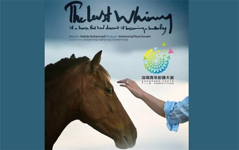 «آخرین شیهه اسبی که خواب پروانه شدن دیده بود» درجشنواره چین