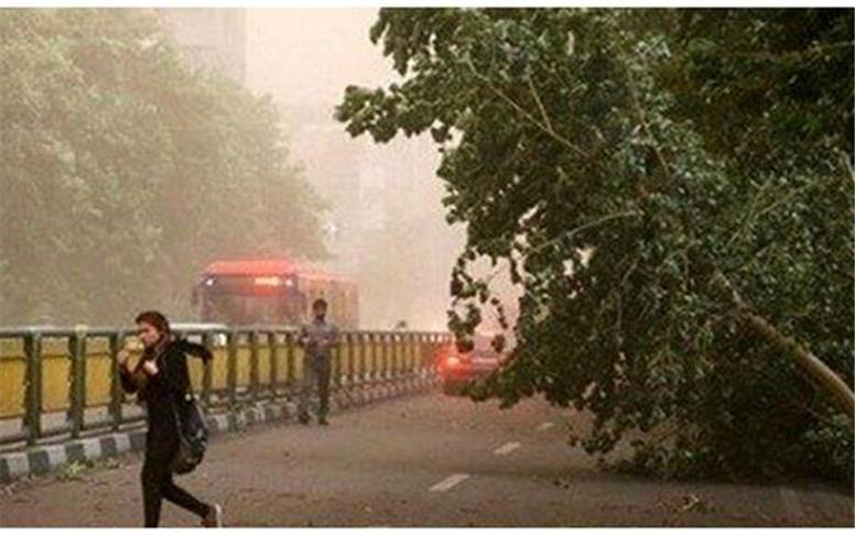 هشدار نارنجی رنگ هواشناسی