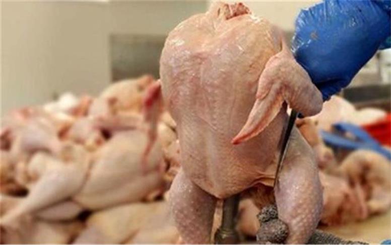 آیا مرغ ارزان شد؟