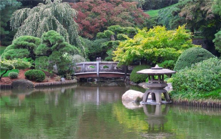 جادوی سبز در خانه شما