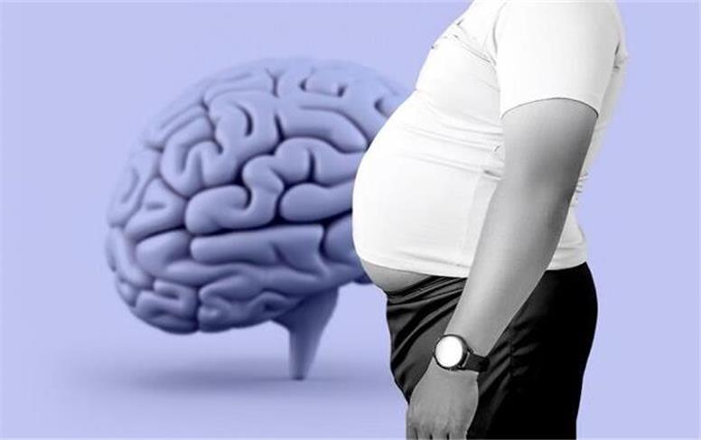 آیا چاقی مغز را کوچک می کند؟