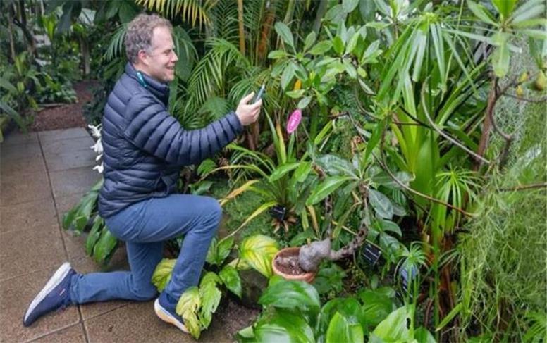 گفت‌وگو با گیاهان با کمک هوش مصنوعی!