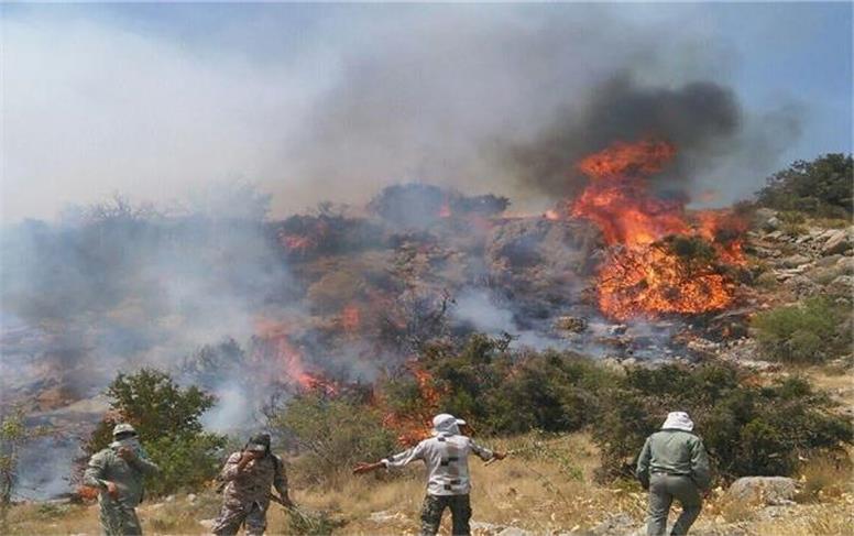میزان خسارت آتش سوزی جنگل الیت
