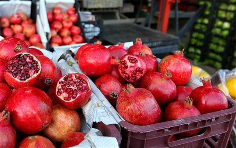 تغییر ساعت کاری میادین میوه و تره‌بار در آستانه شب یلدا