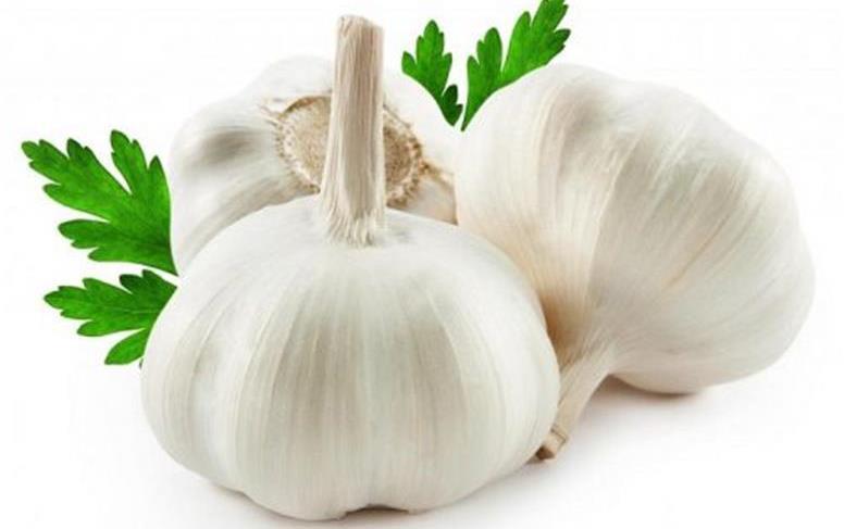 رابطه خوردن سیر خام ناشتا و لاغری