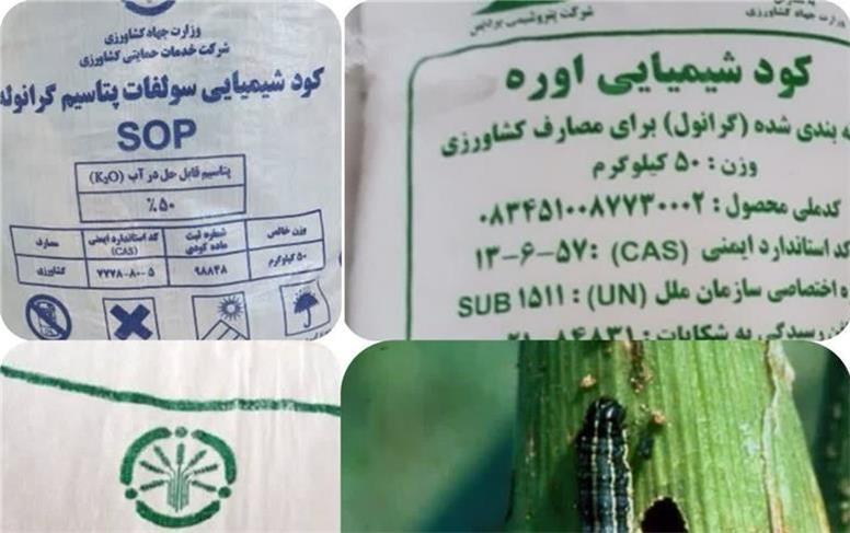 کود یارانه‌ای؛ مقاومت مزارع در برابر کرم برگ‌خوار