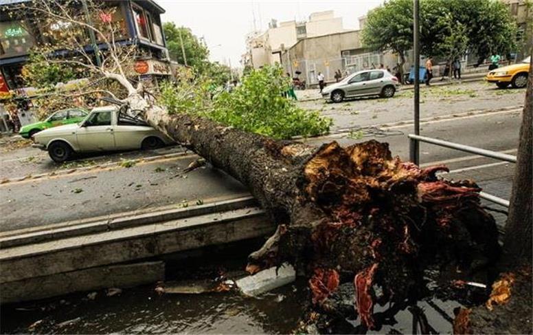 طوفان تهران ۱۰ مصدوم برجای گذاشت