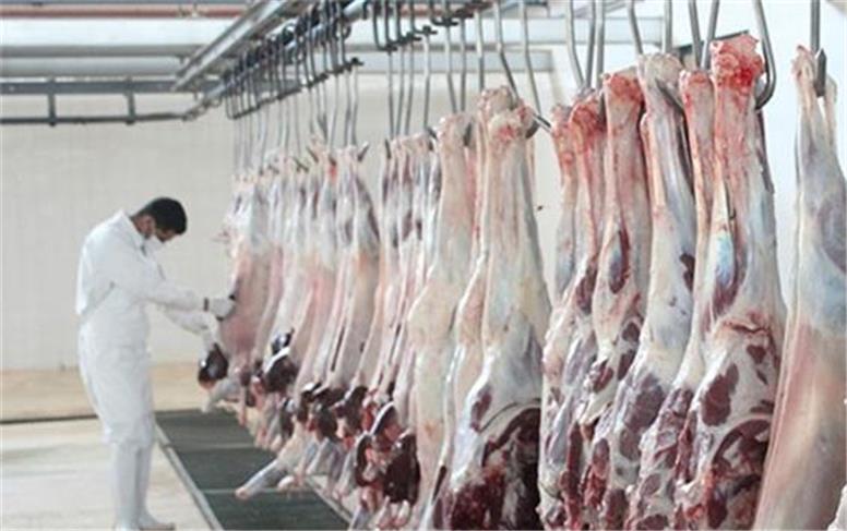 قیمت گوشت قرمز امروز چهارشنبه ۸ مهر ۱۴۰۵ + جدول