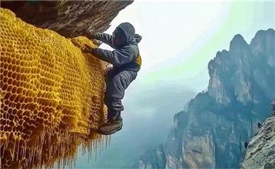 «عسل دیوانه» نادر فقط در دو نقطه جهان یافت می‌شود