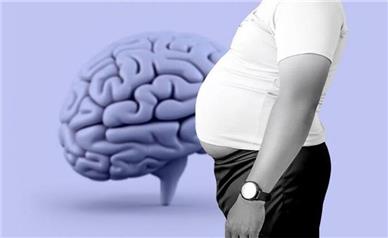 آیا چاقی مغز را کوچک می کند؟
