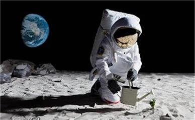 کشفیات جدید درباره زندگی در فضا