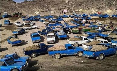 فقر، بیکاری و قاچاق سوخت