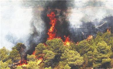 دستگیری عامل آتش‌سوزی جنگل‌های هیرکانی