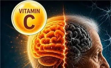 ویتامین C محافظ مغز