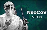 ظهور نوع جدیدی از ویروس کرونا به نام «نئوکوو» / نئوکوو خطرناک‌تر از اومیکرون؟