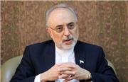 دکتر صالحی: برخورد با انرژی‌های تجدیدپذیر در ایران عوامانه است نه عالمانه